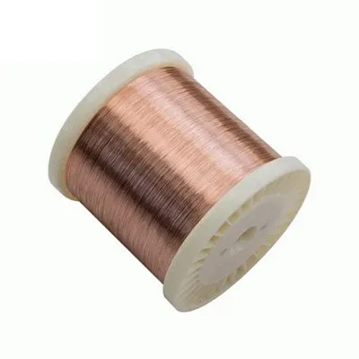 Produžna žica za termoelement tipa S/R